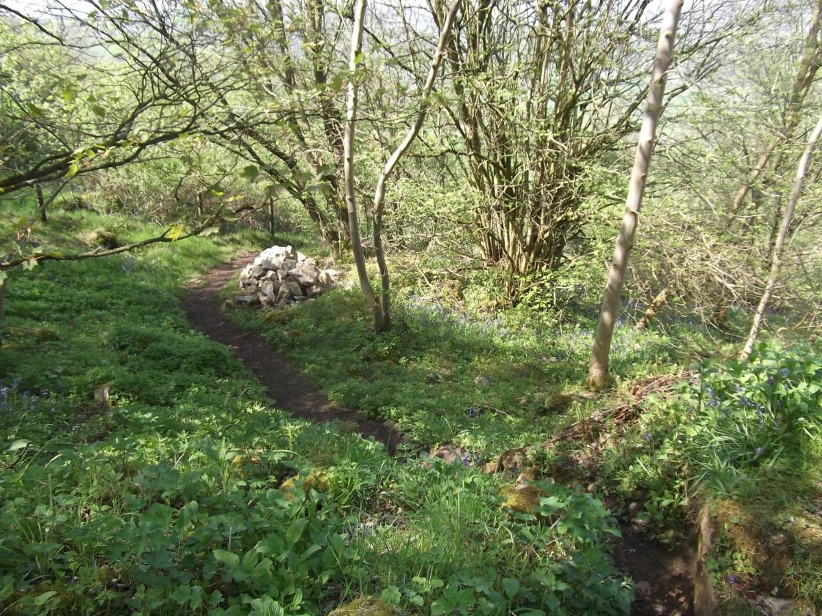 Hall Dale View Near Matlock & Peak District Esterno foto